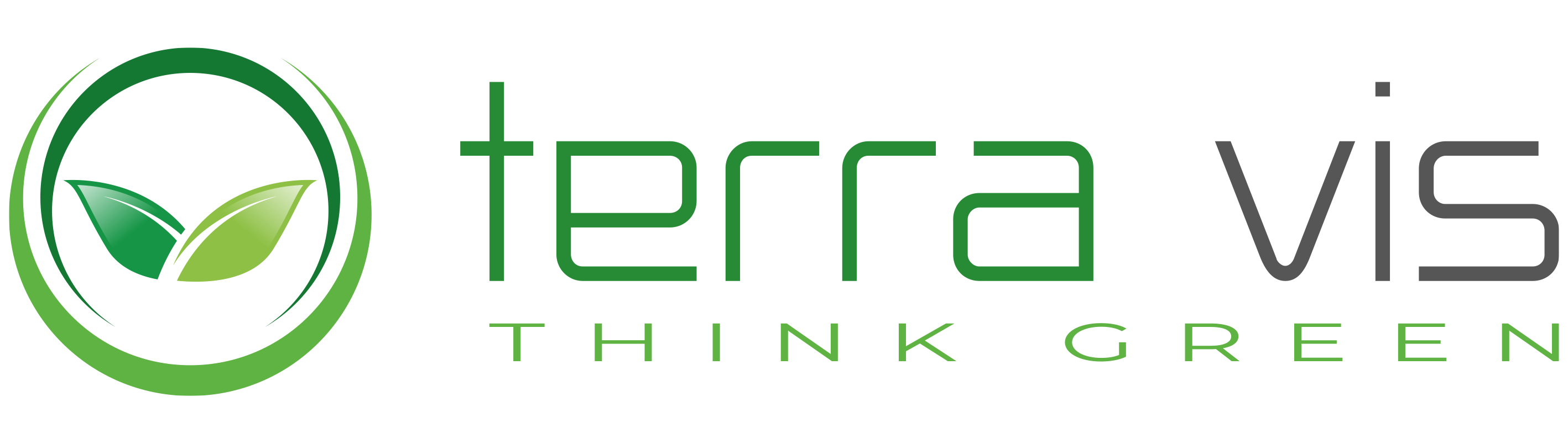 TERRA VIS Logo